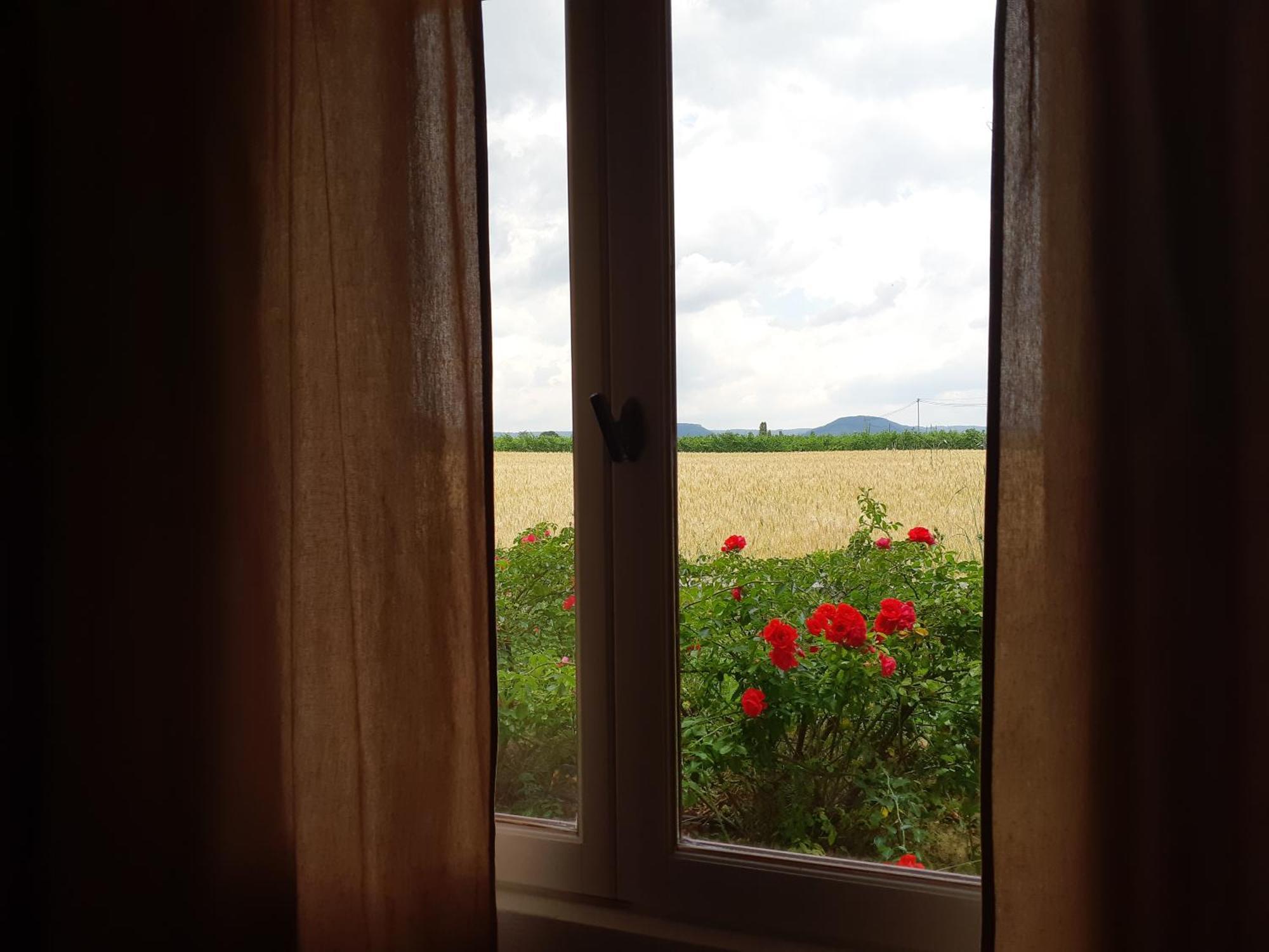 Chambres D'Hotes, B&B La Musardiere Alba-la-Romaine Kültér fotó
