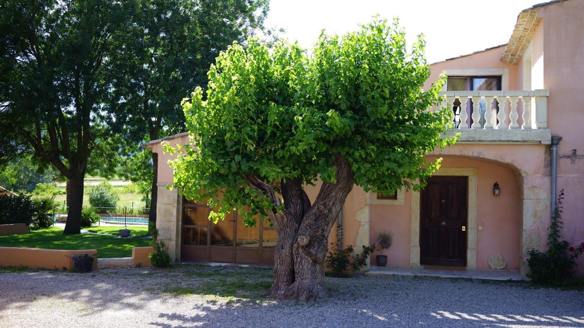 Chambres D'Hotes, B&B La Musardiere Alba-la-Romaine Kültér fotó