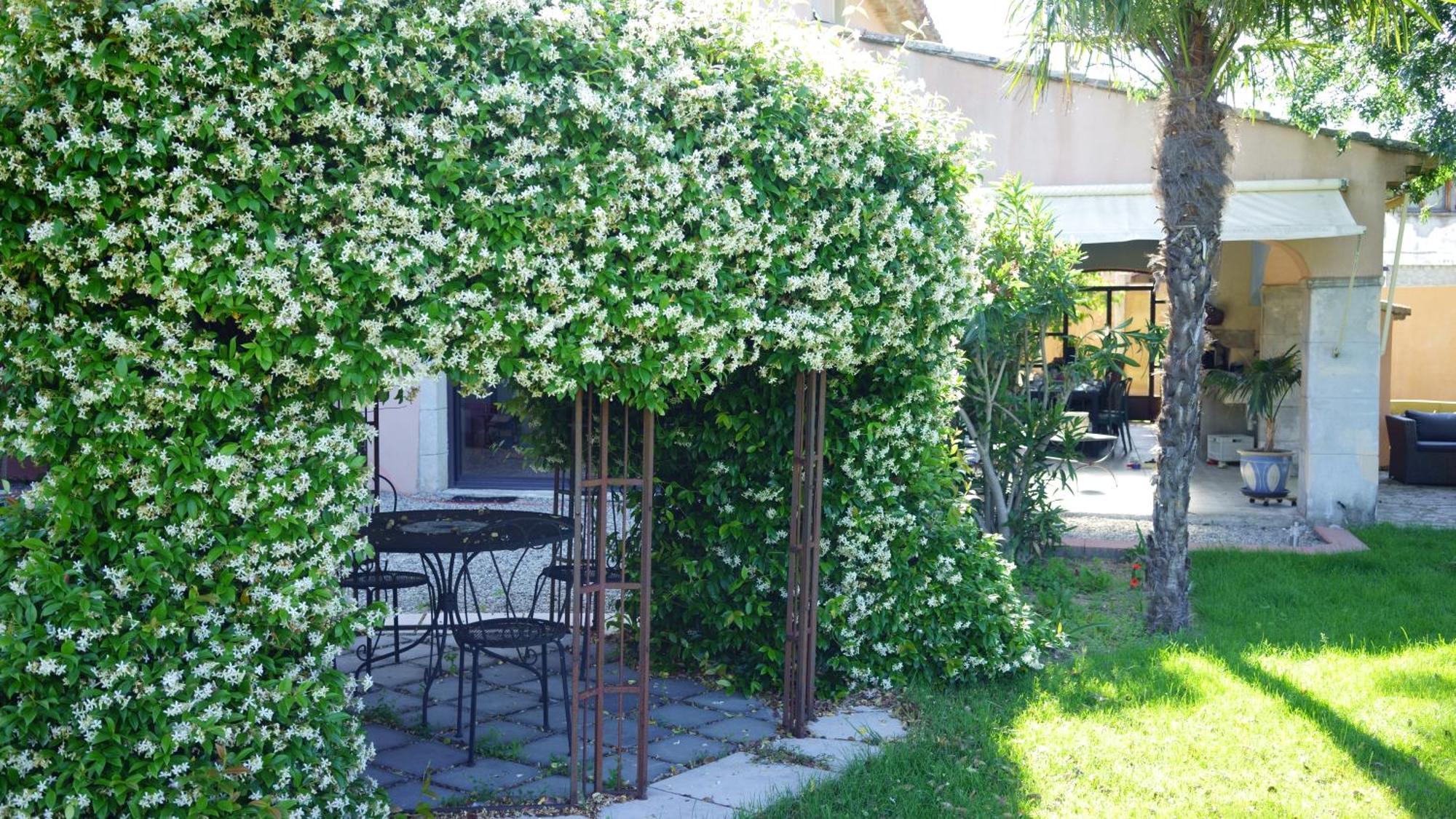 Chambres D'Hotes, B&B La Musardiere Alba-la-Romaine Kültér fotó